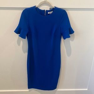 Calvin Klein bell short  sleeve dress